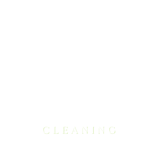 Judy Pro Cleaning